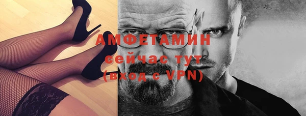 твердый Арсеньев