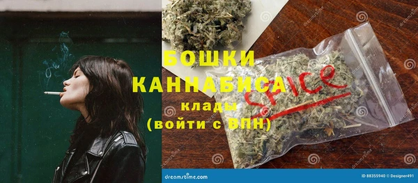 твердый Арсеньев