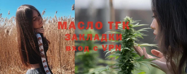 крисы Армянск