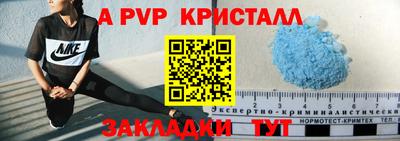 шишки Донской