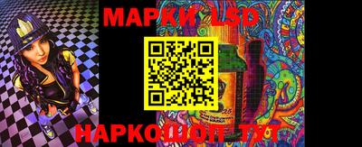 шишки Донской