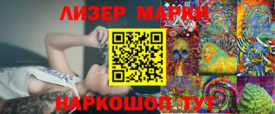 шишки Донской