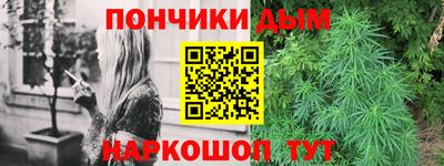 шишки Донской
