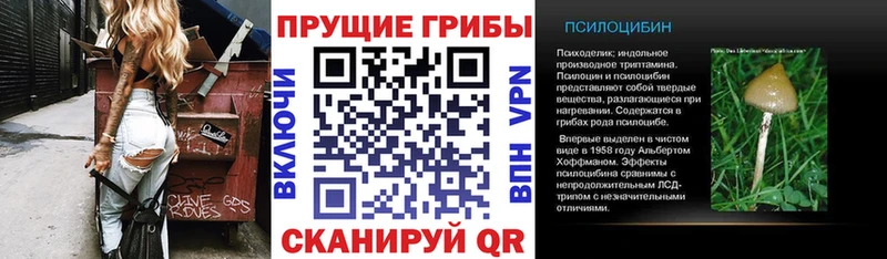 Галлюциногенные грибы Magic Shrooms  магазин продажи   Петрозаводск 