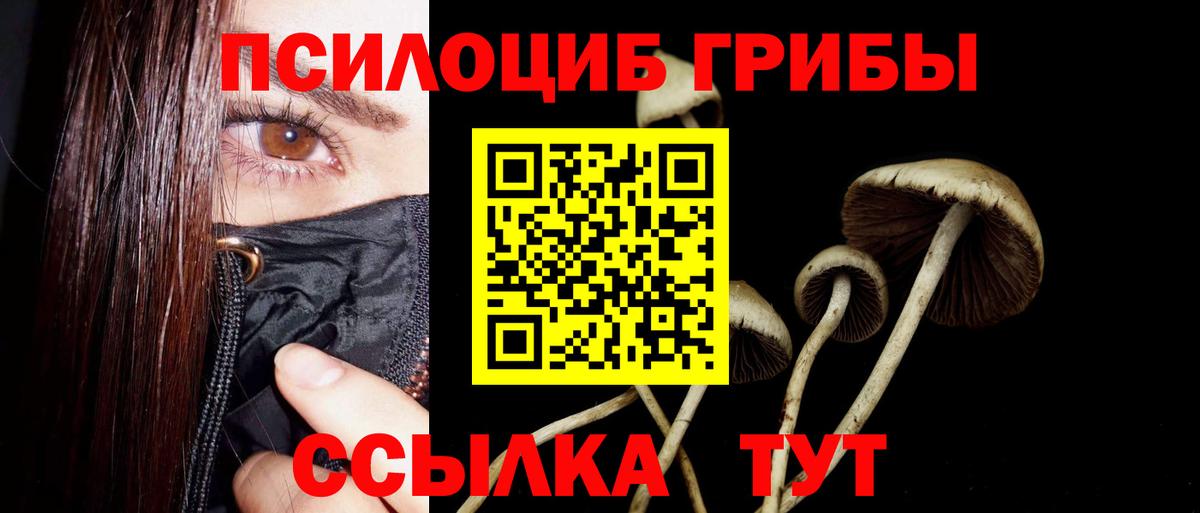Псилоцибиновые грибы ЛСД Петрозаводск